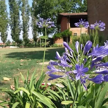 B&B Il Naviglio Bastiglia Exterior foto